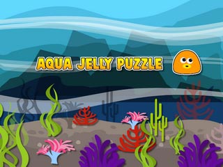 Aqua Jelly Puzzle